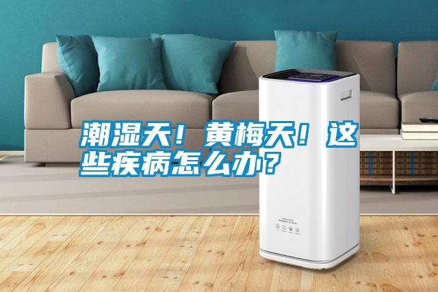 潮濕天！黃梅天！這些疾病怎么辦？