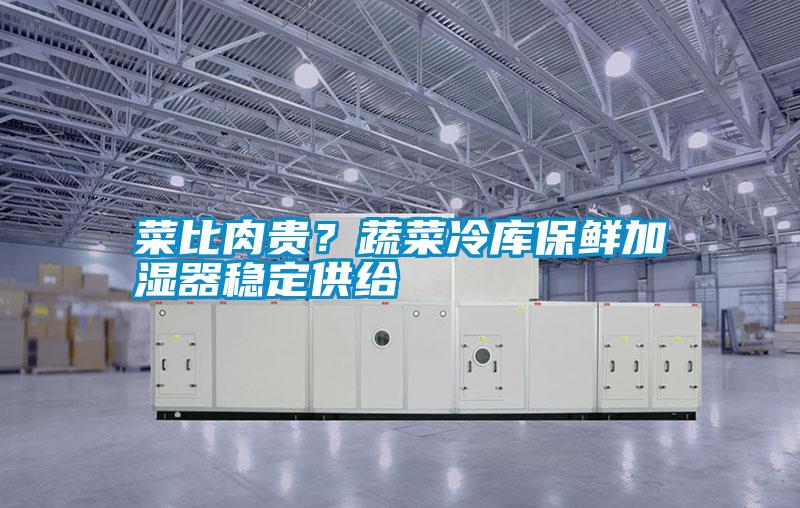 菜比肉貴?蔬菜冷庫保鮮加濕器穩定供給