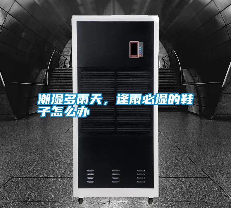 潮濕多雨天，逢雨必濕的鞋子怎么辦