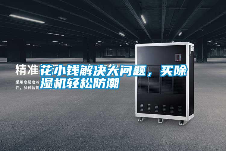 花小錢解決大問題，買除濕機輕松防潮