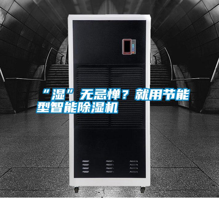 “濕”無忌憚?就用節能型智能除濕機
