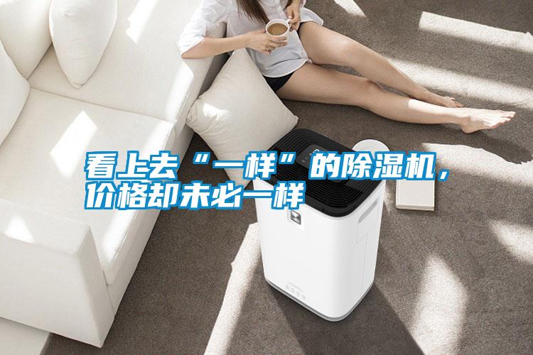 看上去“一樣”的除濕機，價格卻未必一樣