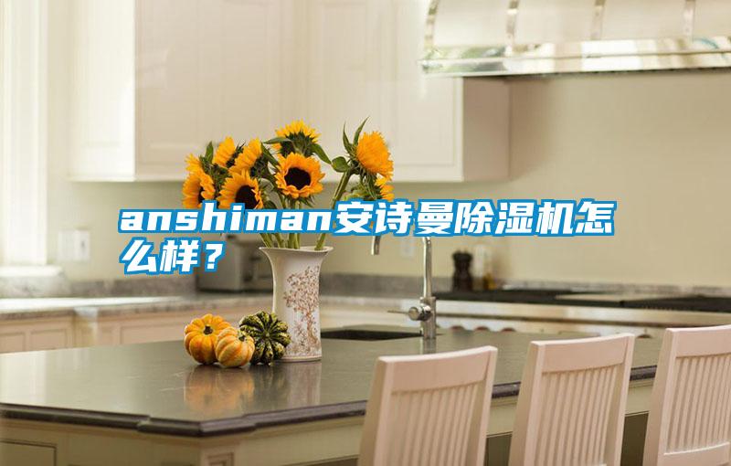 anshiman安詩曼除濕機怎么樣?