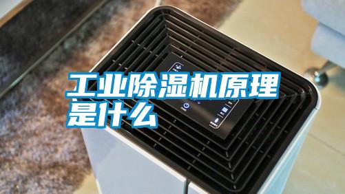 工業除濕機原理是什么