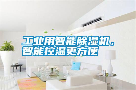 工業用智能除濕機,智能控濕更方便