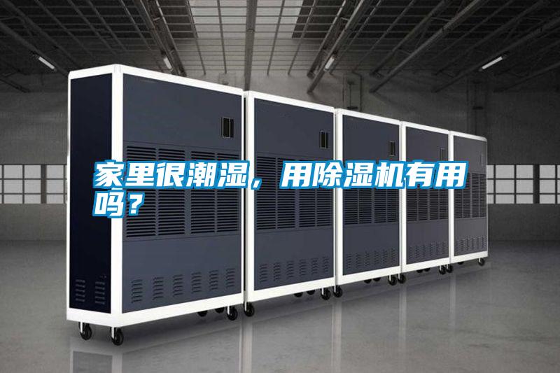 家里很潮濕,用除濕機有用嗎?