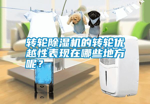 轉輪除濕機的轉輪優越性表現在哪些地方呢？