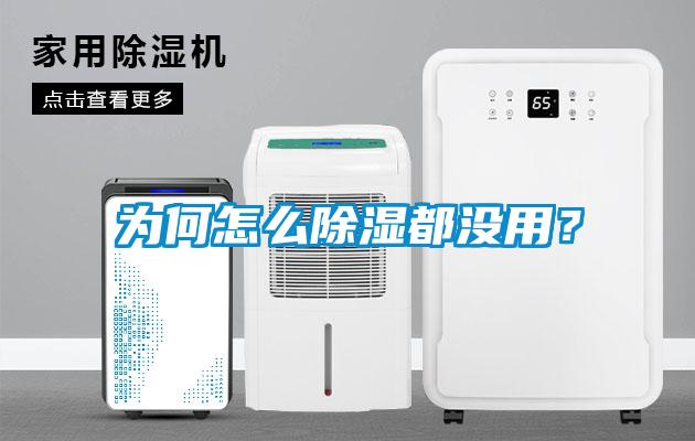 為何怎么除濕都沒用？
