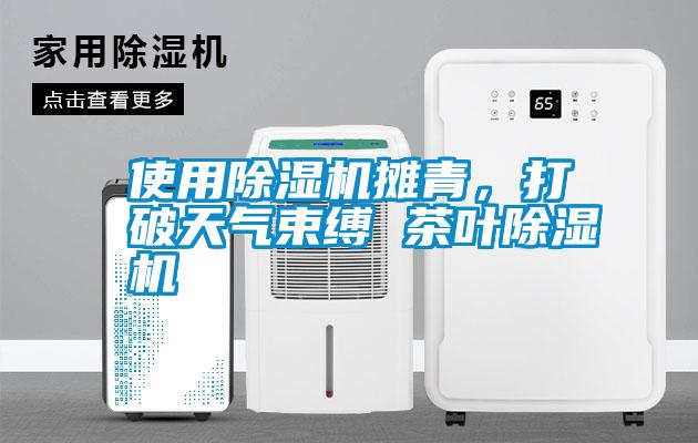 使用除濕機攤青，打破天氣束縛 茶葉除濕機