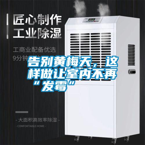 告別黃梅天,這樣做讓室內不再“發霉”