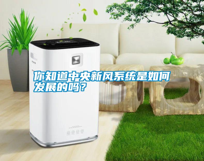 你知道中央新風(fēng)系統(tǒng)是如何發(fā)展的嗎？