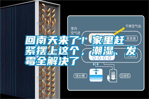 回南天來了！家里趕緊擺上這個，潮濕、發霉全解決了