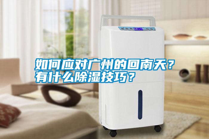 如何應對廣州的回南天?有什么除濕技巧?