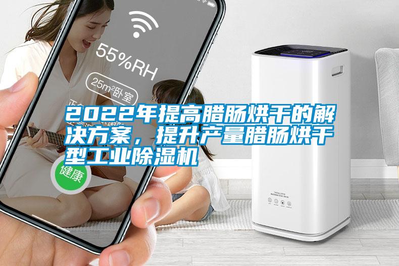 2022年提高臘腸烘干的解決方案,提升產(chǎn)量臘腸烘干型工業(yè)除濕機(jī)