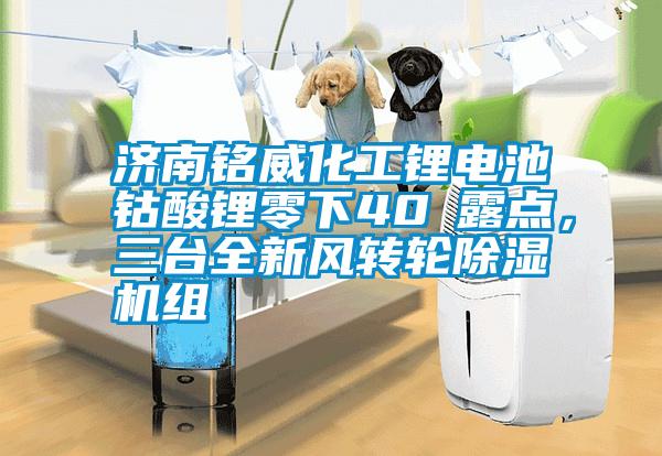 濟(jì)南銘威化工鋰電池鈷酸鋰零下40℃露點(diǎn),三臺(tái)全新風(fēng)轉(zhuǎn)輪除濕機(jī)組
