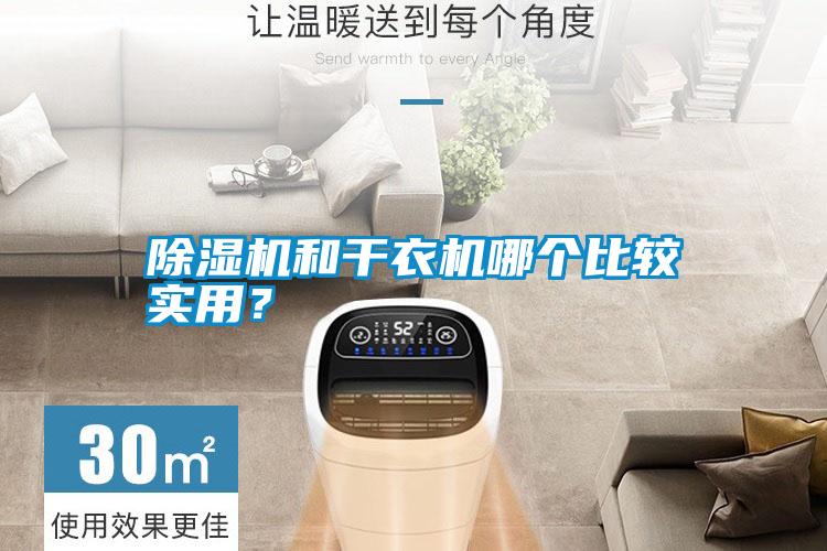 除濕機和干衣機哪個比較實用？