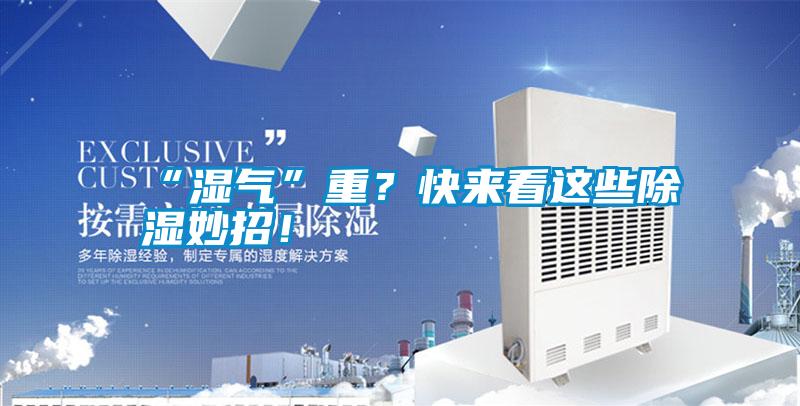 “濕氣”重?快來看這些除濕妙招!