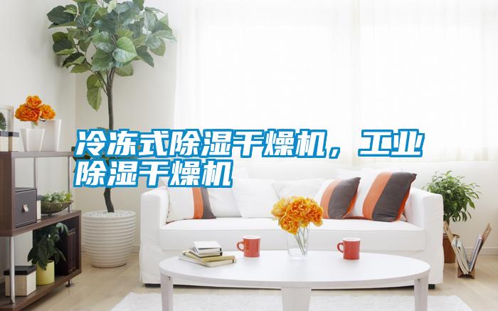 冷凍式除濕干燥機,工業除濕干燥機