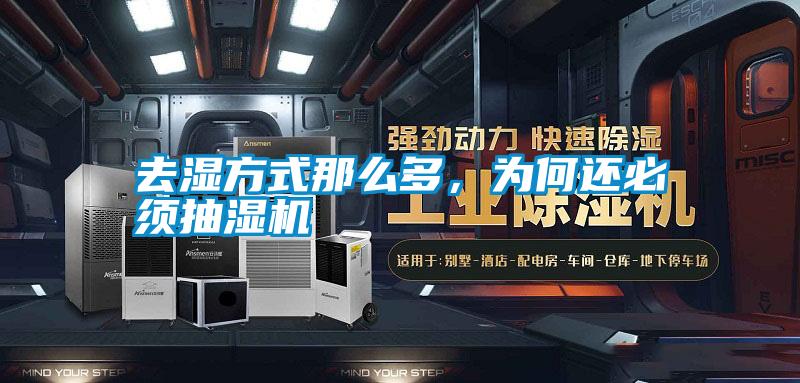 去濕方式那么多,為何還必須抽濕機(jī)