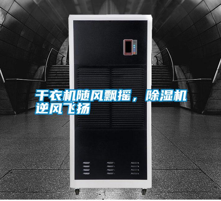 干衣機(jī)隨風(fēng)飄搖,除濕機(jī)逆風(fēng)飛揚(yáng)