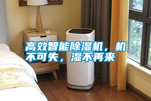 高效智能除濕機(jī),機(jī)不可失,濕不再來(lái)
