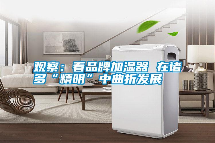 觀察:看品牌加濕器 在諸多“精明”中曲折發展