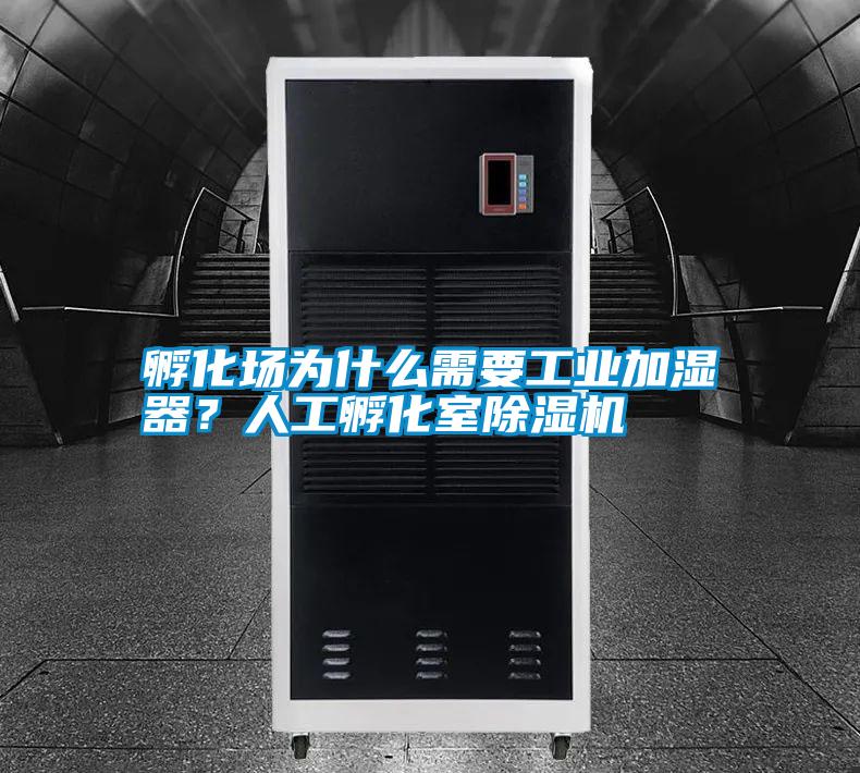 孵化場為什么需要工業(yè)加濕器?人工孵化室除濕機(jī)