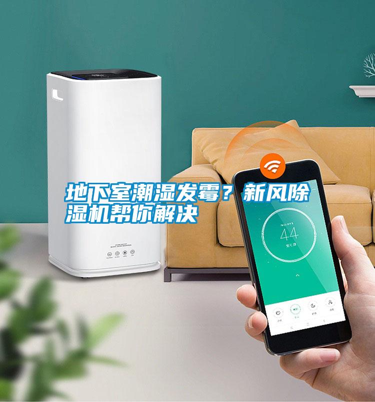 地下室潮濕發(fā)霉?新風(fēng)除濕機(jī)幫你解決