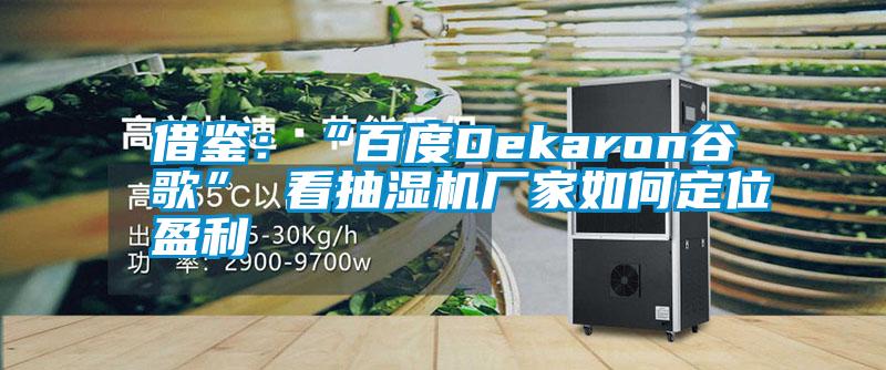 借鑒:“百度Dekaron谷歌” 看抽濕機(jī)廠家如何定位盈利