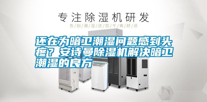 還在為暗衛(wèi)潮濕問題感到頭疼?安詩曼除濕機解決暗衛(wèi)潮濕的良方