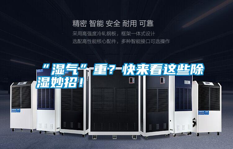 “濕氣”重?快來看這些除濕妙招!