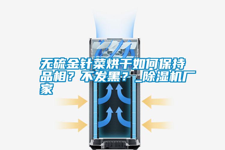 無硫金針菜烘干如何保持品相?不發黑?_除濕機廠家