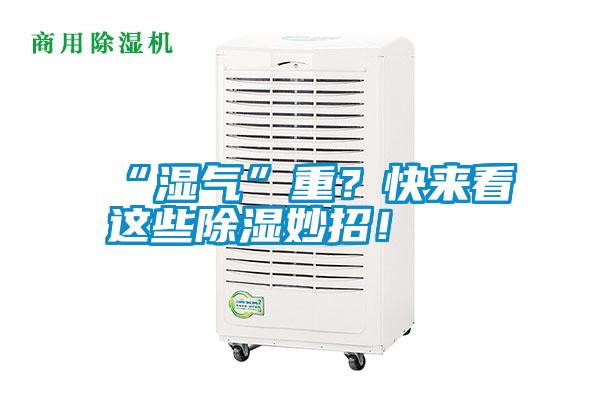 “濕氣”重?快來看這些除濕妙招!