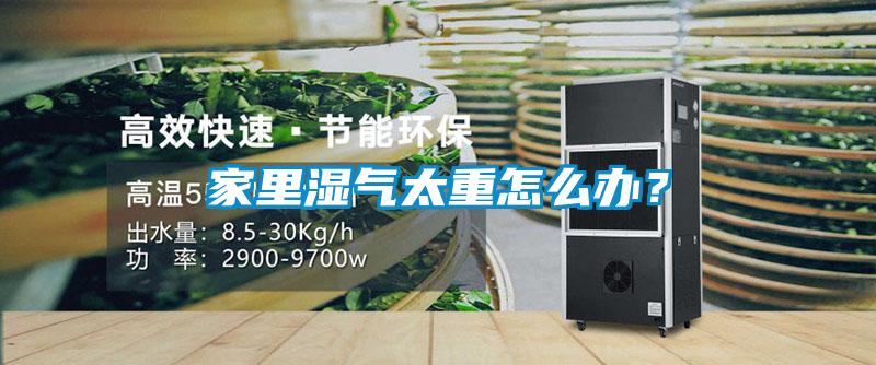 家里濕氣太重怎么辦？
