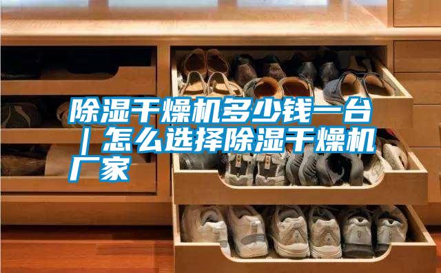 除濕干燥機多少錢一臺|怎么選擇除濕干燥機廠家
