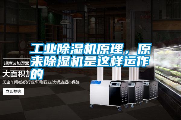 工業除濕機原理,原來除濕機是這樣運作的