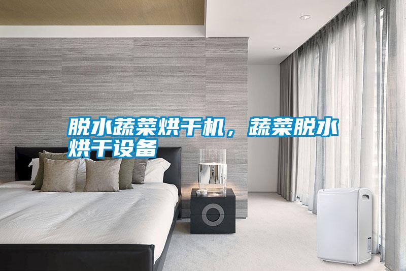 脫水蔬菜烘干機，蔬菜脫水烘干設備