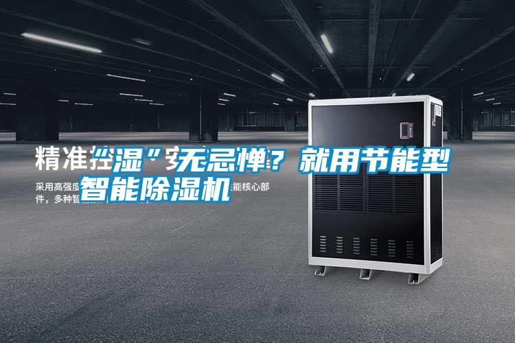 “濕”無忌憚?就用節能型智能除濕機