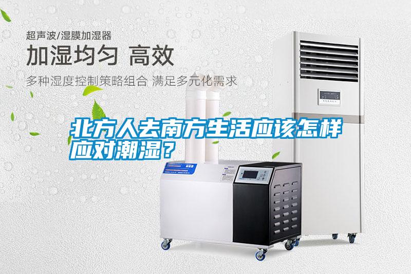 北方人去南方生活應該怎樣應對潮濕？
