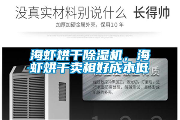 海蝦烘干除濕機,海蝦烘干賣相好成本低