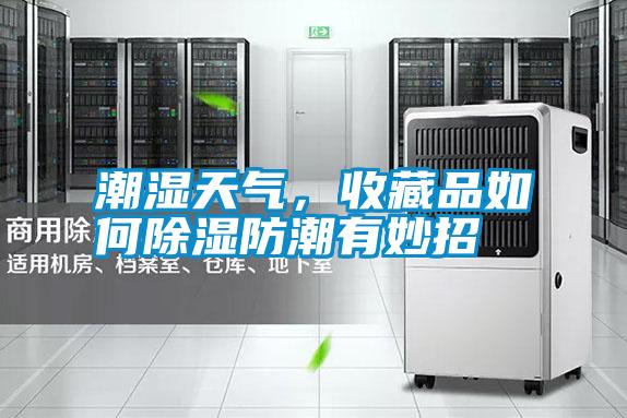 潮濕天氣,收藏品如何除濕防潮有妙招