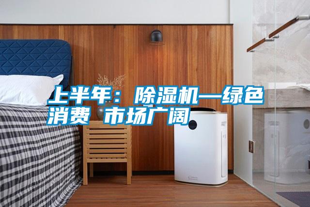 上半年:除濕機—綠色消費 市場廣闊