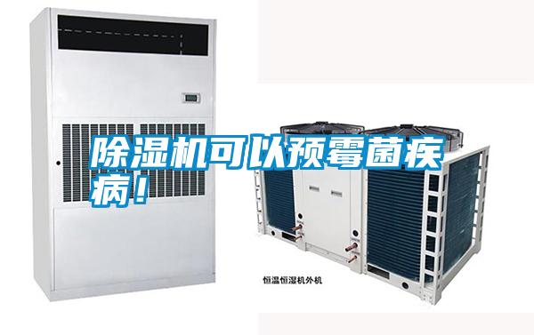 除濕機可以預霉菌疾??！