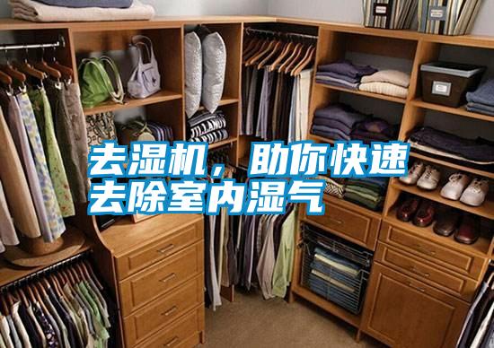 去濕機,助你快速去除室內濕氣