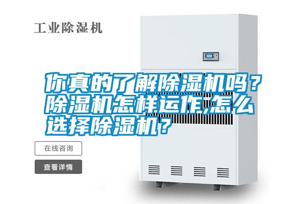 你真的了解除濕機(jī)嗎？除濕機(jī)怎樣運(yùn)作,怎么選擇除濕機(jī)？