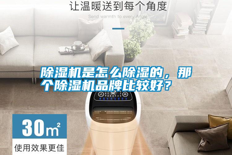 除濕機是怎么除濕的，那個除濕機品牌比較好？