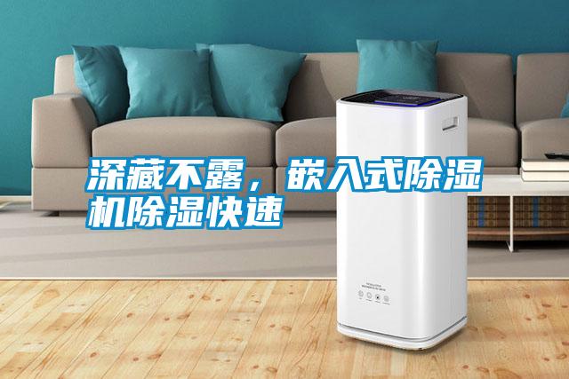 深藏不露，嵌入式除濕機除濕快速