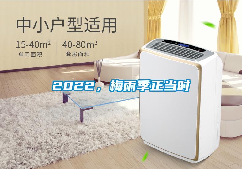 2022,梅雨季正當時