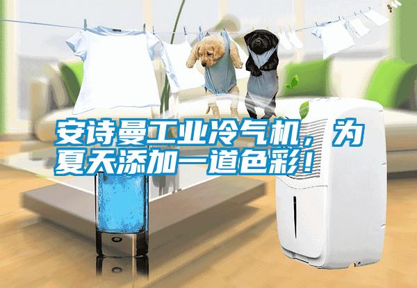 安詩曼工業冷氣機,為夏天添加一道色彩!