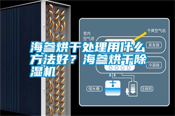 海參烘干處理用什么方法好?海參烘干除濕機